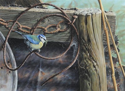 Lot 655 - Alan M. Hunt (b.1947) Blue Tit beside a cobweb on a fence Signed and dated 1980, gouache heightened