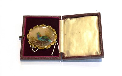 Lot 208 - A 19th century feather brooch in a yellow scroll mount, unmarked, measures 5.7cm by 5cm