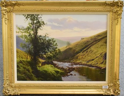 Lot 1088 - Michael James Smith (b.1976) Pistyll Rhaeaor Waterfall Walk, Wales, signed, titled verso, oil...