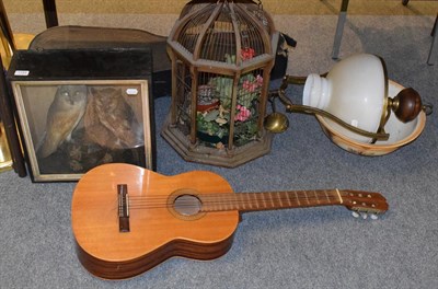 Lot 1194 - A guitar and case; bird cage; Victorian taxidermy case containing a barn owl and tawny owl;...