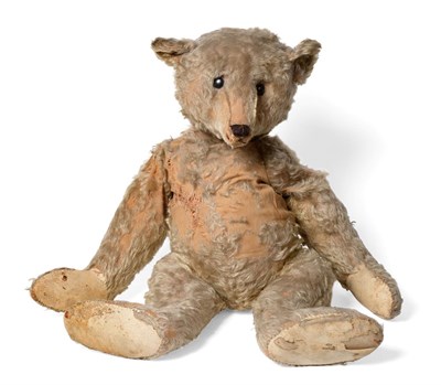 Lot 2000 - A Large Early 20th Century Steiff Teddy Bear, with button to his ear, large black button eyes,...