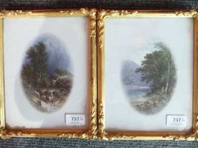 Lot 737 - Walter Williams (fl.1841-1876) "In Bolton Woods, Yorkshire"; Mountain stream with trees Both...