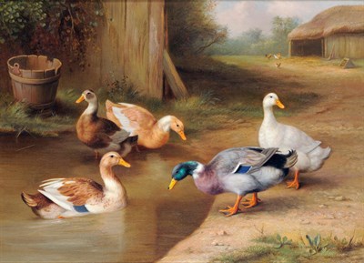 Lot 762 - Edgar Hunt (1876-1953) "A mallard and ducks by a pond" Signed and dated 1926, inscribed on the...