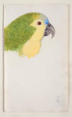 Lot 183 - Joseph Edward Southall RWS (1861-1944) ''Green Parrot'' Monogrammed, inscribed 13 VIII and...