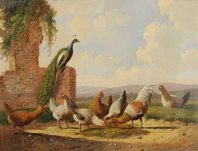 Lot 787 - Albertus Verhoesen (1806-1881) Dutch Cockerel and chickens with a peacock in a landscape, ruins...