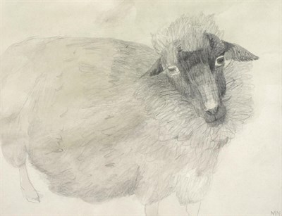 Lot 195 - Mary Newcombe (b.1922) Sheep Initialled, pencil and wash, 19cm by 24.5cm