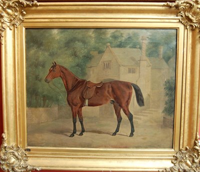 Lot 810 - Attributed to Samuel Spode (18th century) Saddled hunter standing in front of a country house...