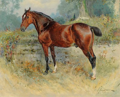 Lot 811 - William Woodhouse (1857-1939) Bay hunter "Statter, a Leader", standing in a landscape with a...