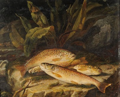 Lot 824 - Jacob Thompson of Penrith (1806-1879) Still life of brown trout on a riverbank Signed and dated...