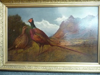 Lot 827 - Follower of Steven Elmer (19th century) Cock and hen pheasant in a Highland landscape Oil on...