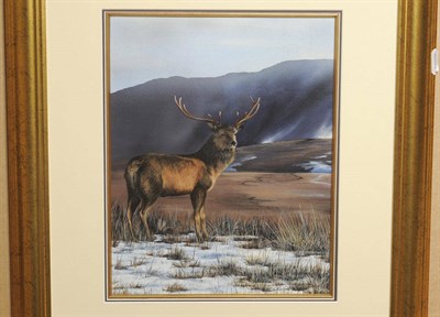 Lot 838 - Carl Whitfield (b.1958) Red stag standing in a Highland winter landscape Signed, inscribed on a...