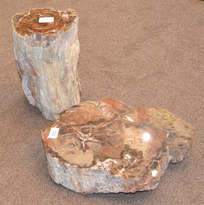 Lot 722 - A Section of Petrified Tree Trunk, 40cm by 30cm; and A Stump Shaped Section of Petrified Tree...