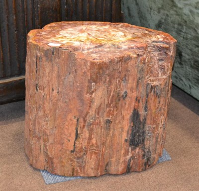 Lot 723 - A Large Section of Petrified Tree Trunk, 45cm high