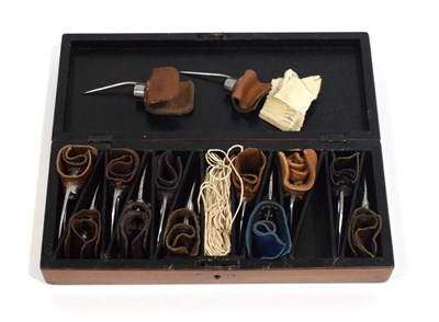Lot 3002 - Cockfighting Spurs a set of a dozen pairs in fitted mahogany case some marked 'L' or 'R'