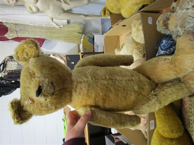 Lot 1028 - Circa 1930s yellow plush jointed teddy bear with boot button eyes, stitched nose and claws; another