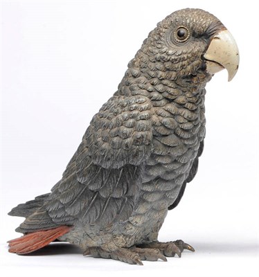 Lot 906 - African Grey Parrot, unmarked, probably Bergmann, Austria, in perched pose, 16cm high