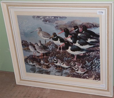 Lot 1176 - Charles Fredrick Tunnicliffe, Shoreland Waders, signed, limited edition print from Tryon Gallery