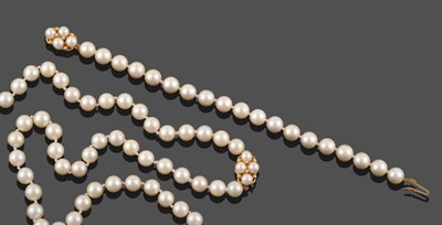 Lot 2136 - A Cultured Pearl Necklace, eighty cultured pearls knotted to a yellow oval clasp comprising of four