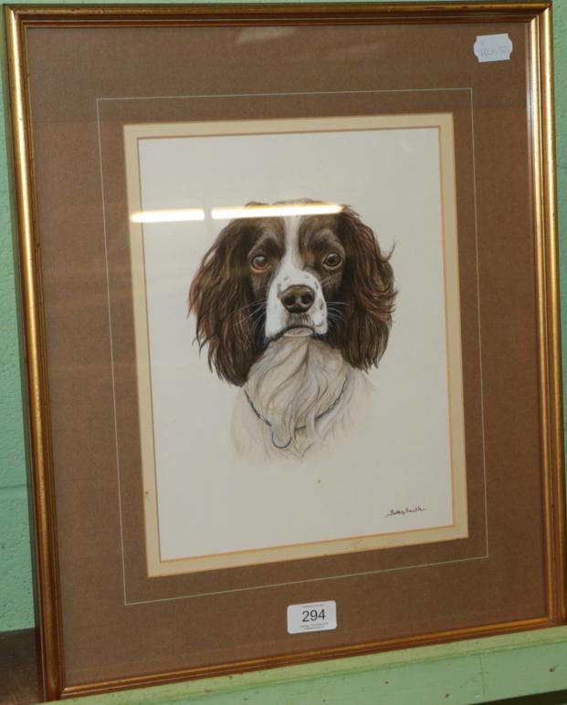 Lot 294 - Susan Smith, Springer Spaniel, signed pencil and body colour, 30cm by 23cm