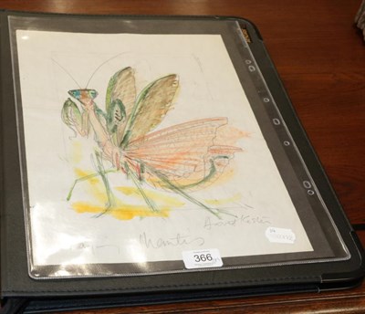 Lot 366 - David Koster (1926-2014), Praying Mantis, signed and inscribed, pencil and watercolour, 38cm by...