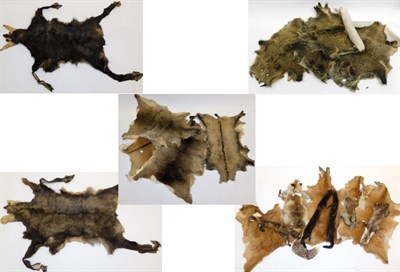 Lot 1003 - Hides/Pelts: A quantity of European Animal Hides/Pelts, circa late 20th century, including four...