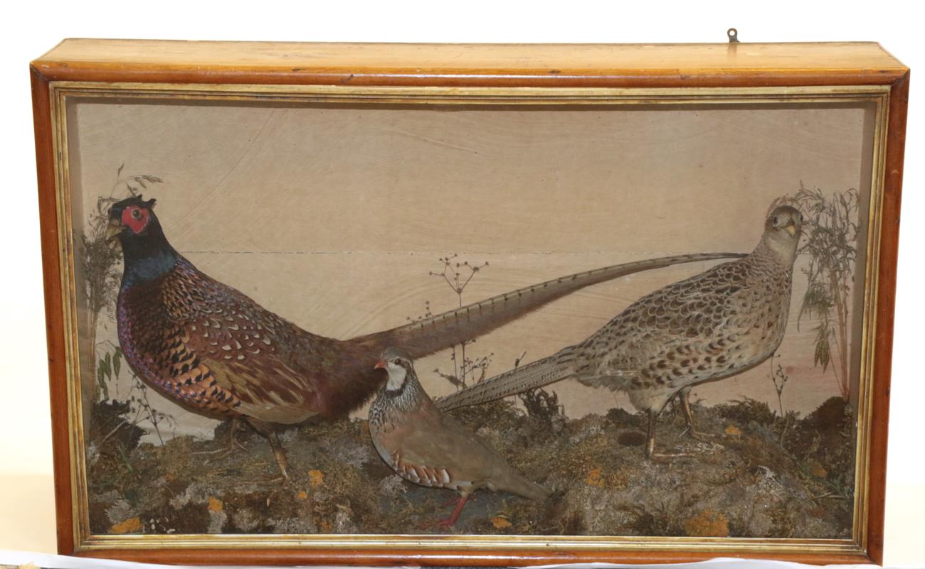 Lot 1020 - Taxidermy: A Cased Diorama of British Game Birds, circa 1900, containing a pair of Ring-necked...