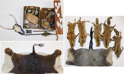 Lot 1034 - Hides/Pelts/Collectibles: A Quantity of Various Collectibles, including - five Red Fox pelts, Sable