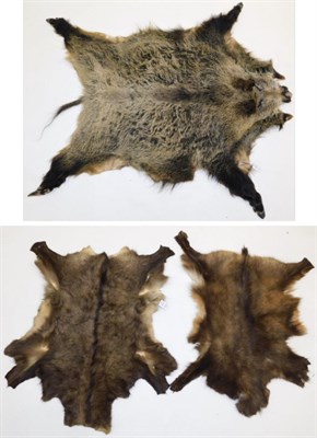 Lot 1058 - Skins/Hides: European Wild Boar/ Chamois Skins, circa late 20th century, a large complete adult...