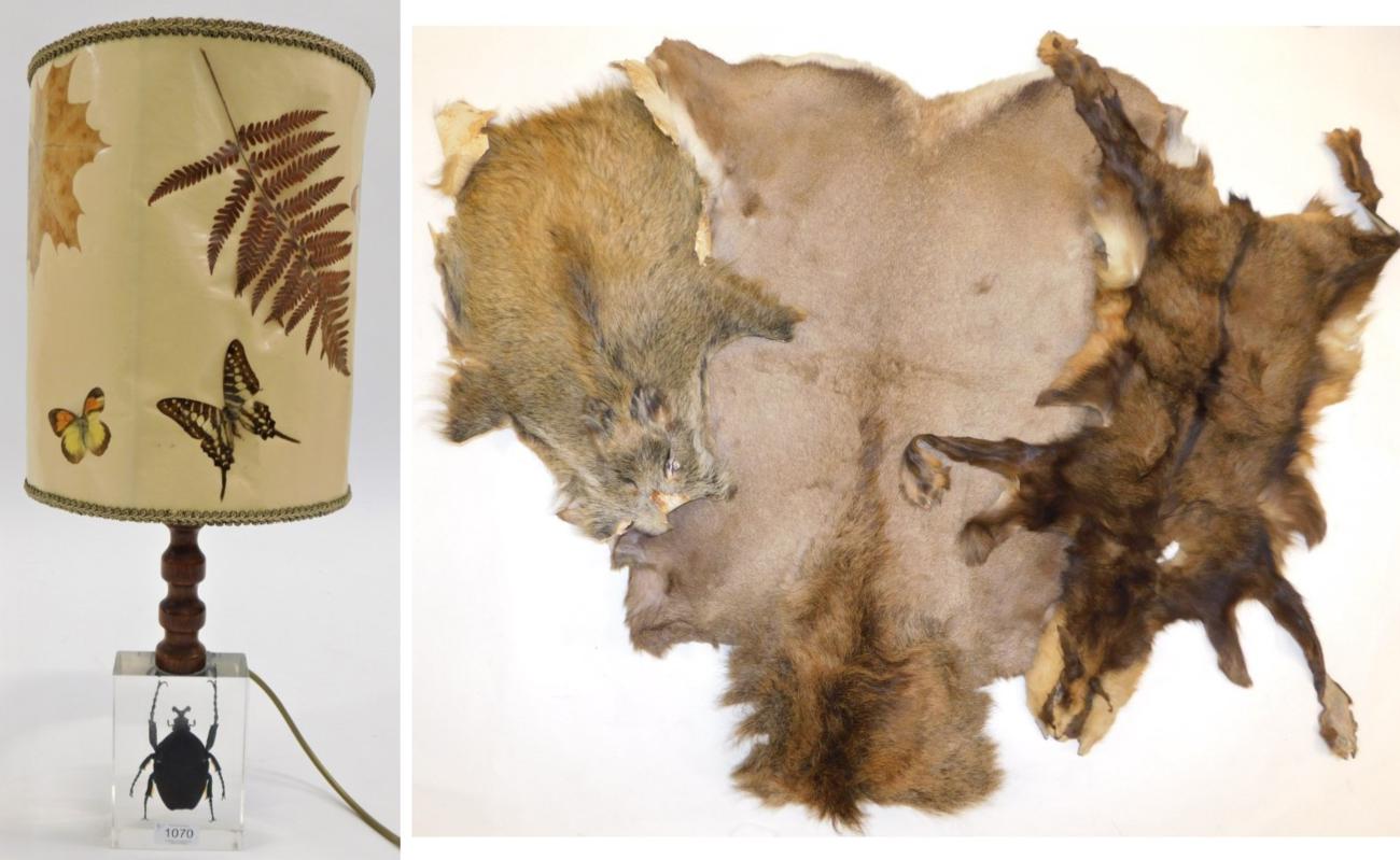 Lot 1070 - Hides/Skins: A quantity of Trophy Hides, to include a Chamois, Juvenile Wild Boar and a large...