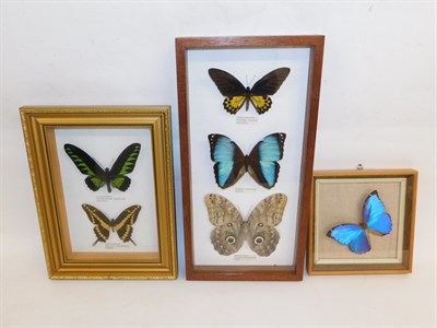 Lot 1084 - Entomology: A Small Collection of Asian and South American Butterflies, circa 1980, to include...