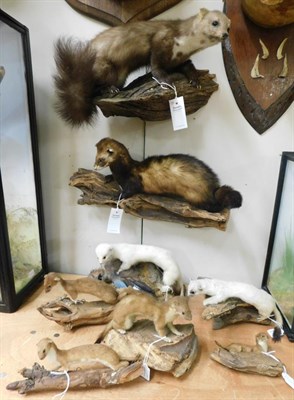 Lot 1090 - Taxidermy: European Countryside Animals, circa late 20th century, a collection of various full...