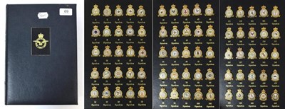 Lot 69 - Royal Air Force Museum, Set of 100 Gilt Metal and Enamel Second World War R.A.F. Squadron Lapel...