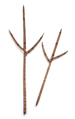 Lot 243 - An Early/Mid 20th Century Kiribati (Gilbert Islands) Three Pronged Shark-Toothed Sword, constructed