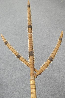 Lot 243 - An Early/Mid 20th Century Kiribati (Gilbert Islands) Three Pronged Shark-Toothed Sword, constructed