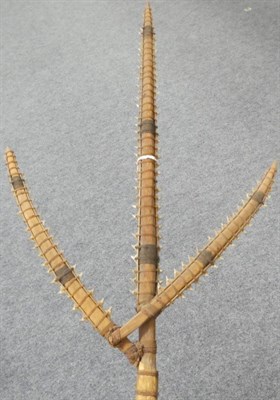 Lot 243 - An Early/Mid 20th Century Kiribati (Gilbert Islands) Three Pronged Shark-Toothed Sword, constructed