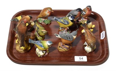 Lot 54 - Royal Worcester birds to include Linnets, Chaffinch, Marsh Tit, Blue Tit etc