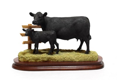 Lot 10 - Border Fine Arts 'Aberdeen Angus Cow and Calf' (Style One), model No. B0204 by Kirsty...