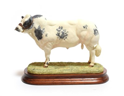 Lot 21 - Border Fine Arts 'Belgian Blue Bull' (Style One), model No. B0406 by Ray Ayres, limited edition...