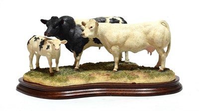 Lot 25 - Border Fine Arts 'Belgian Blue Family Group', model No. B0771 by Kirsty Armstrong, limited...