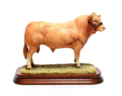 Lot 31 - Border Fine Arts 'Blonde D'Aquitaine Bull' (Style One), model No. L116 by Ray Ayres, limited...