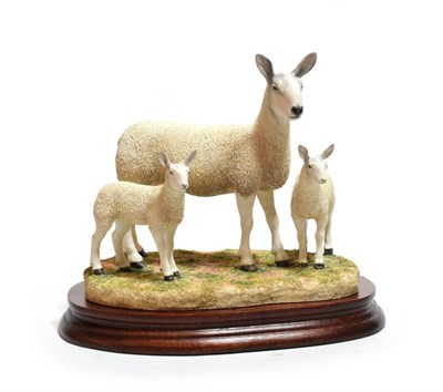 Lot 34 - Border Fine Arts 'Blue Faced Leicester Ewe and Lambs' (Style Two), model No. B0741 by Ray...
