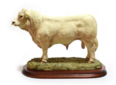 Lot 43 - Border Fine Arts 'Charolais Bull' (Style Two), model No. B0587 by Jack Crewdson, limited...