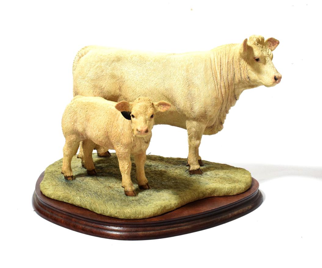 Lot 45 - Border Fine Arts 'Charolais Cow and Calf' (Style Three), model No. B0742 by Jack Crewdson,...