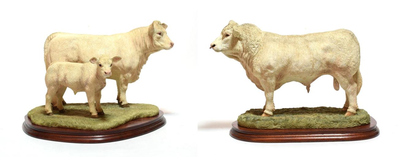 Lot 46 - Border Fine Arts 'Charolais Cow and Calf' (Style Three), model No. B0742, limited edition...