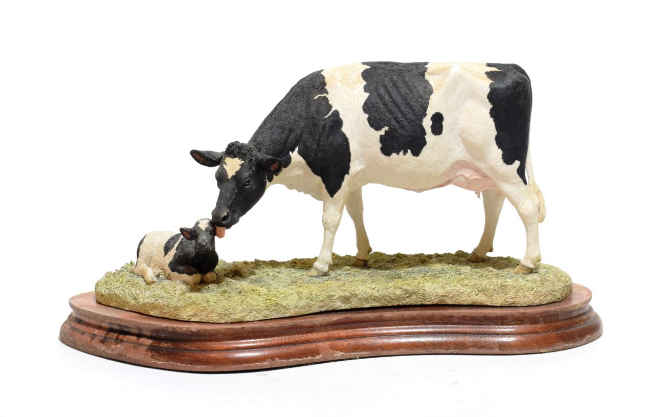 Lot 80 - Border Fine Arts 'Holstein Friesian Cow & Calf', model No. B0309 by Kirsty Armstrong, limited...