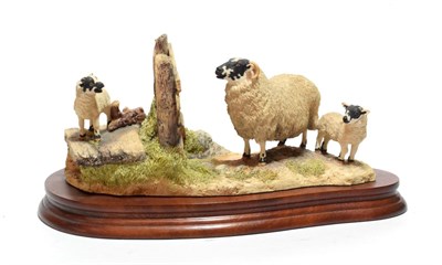 Lot 82 - Border Fine Arts James Herriot 'Wrong Side of the Fence' (Ewe and Lambs), model No. JH100 by...