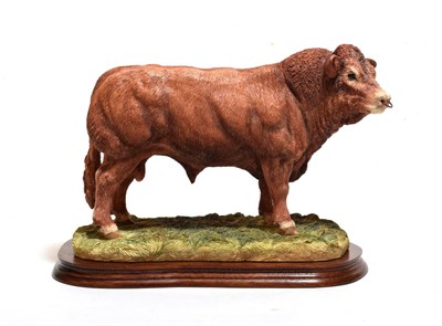 Lot 95 - Border Fine Arts 'Limousin Bull' (Style Two), model No. B0531 by Jack Crewdson, limited edition...