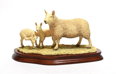 Lot 106 - Border Fine Arts 'North Country Cheviot Ewe with Scotch Halfbred Lambs', model No. L147 by Ray...
