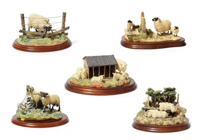 Lot 117 - Border Fine Arts Sheep Models Comprising: 'Spring Cover'  model No. B0298, limited edition...