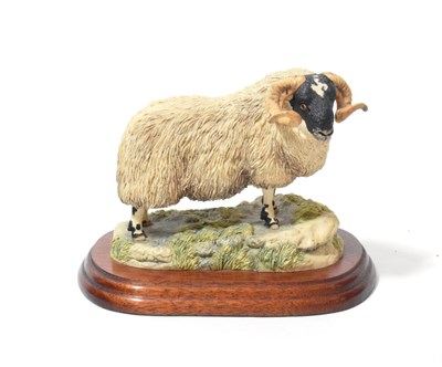 Lot 118 - Border Fine Arts Sheep Models Comprising: 'Wrong Side of the Fence', model No. JH100, limited...
